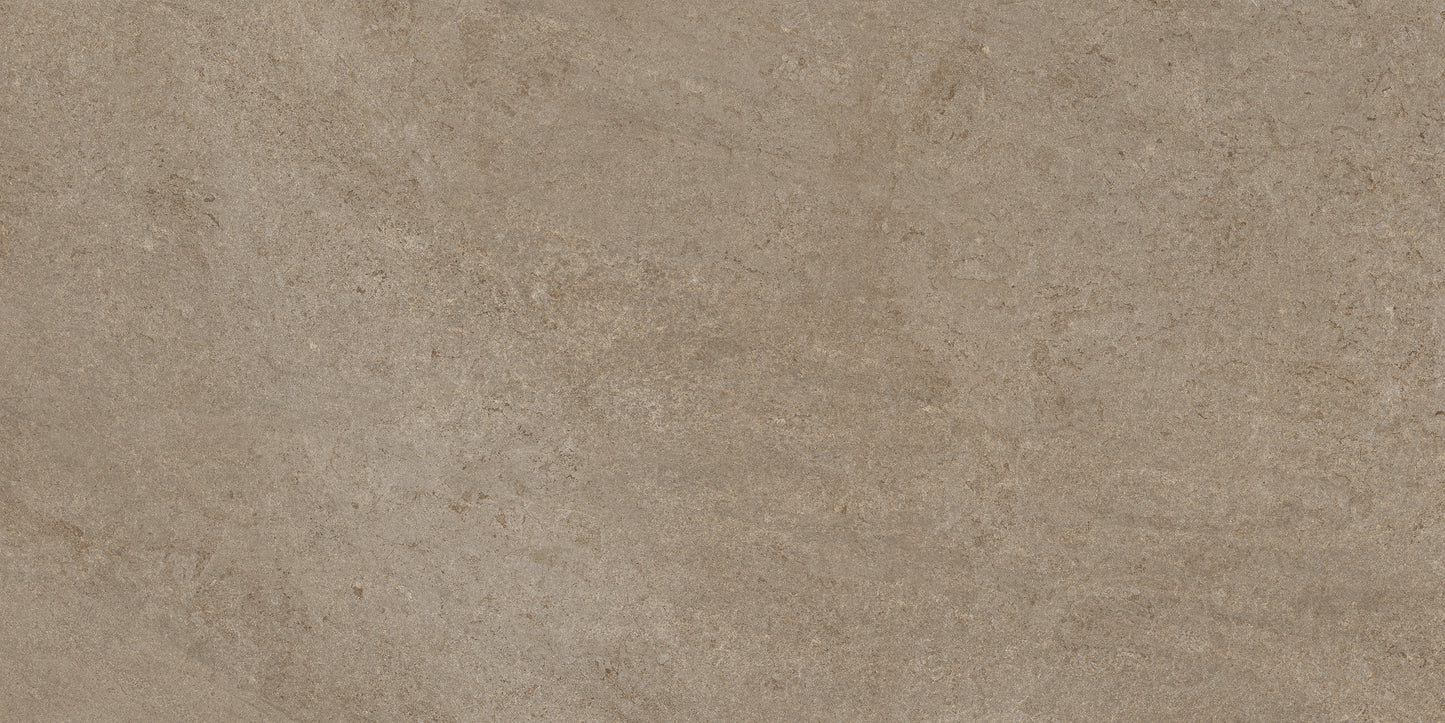 60x120 CANYON BURLY WOOD (DURAGRIPO ANTI-SLIP)