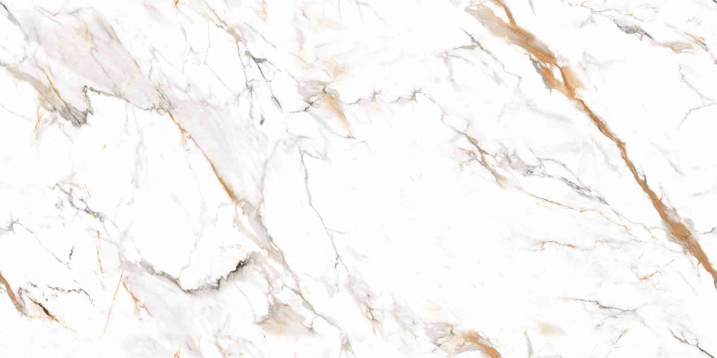 Matinės ir poliruotos baltos plytelės su dekoratyviais pilkais ir auksiniais elementais.