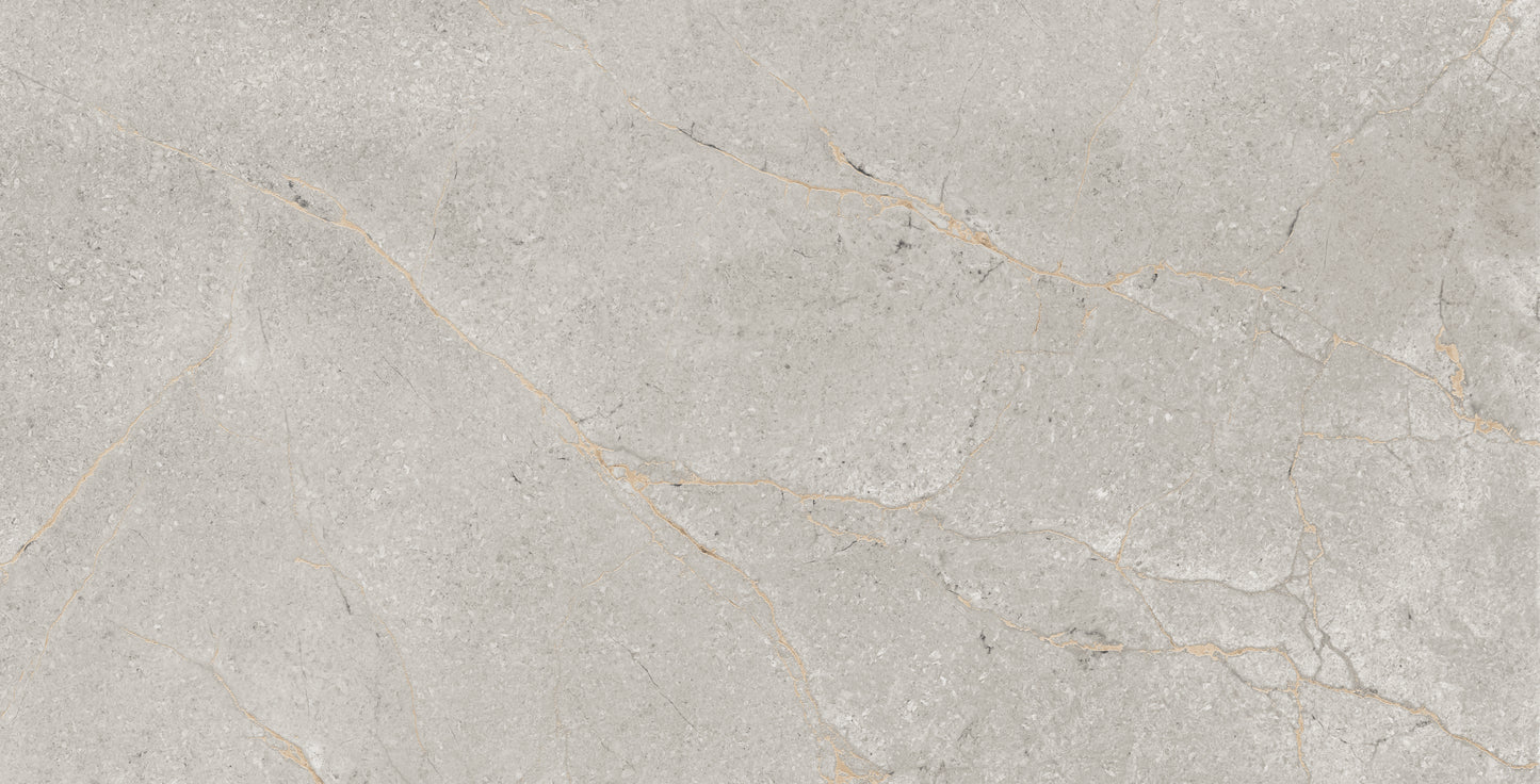 60x120 SPARKLE LOVATO GREY (CARVING)