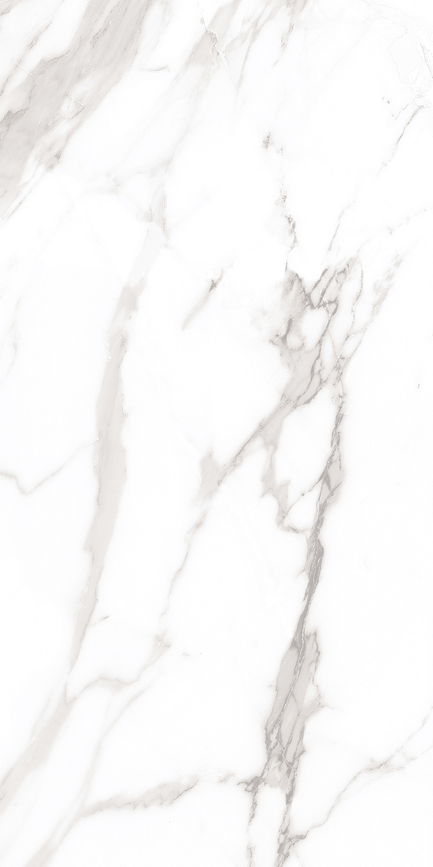 60x120 ROYAL WHITE (POLISHED)