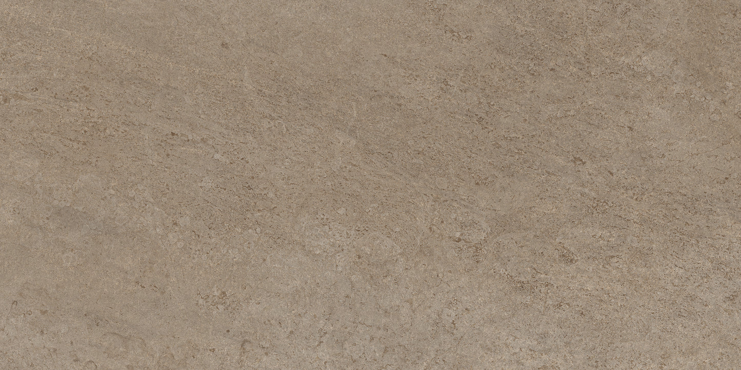 60x120 CANYON BURLY WOOD (DURAGRIPO ANTI-SLIP)