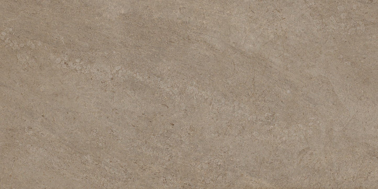 60x120 CANYON BURLY WOOD (DURAGRIPO ANTI-SLIP)