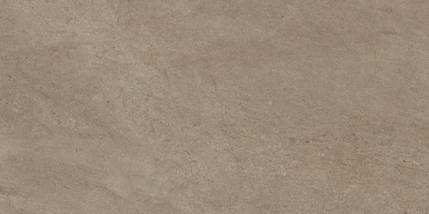 60x120 CANYON BURLY WOOD (DURAGRIPO ANTI-SLIP)