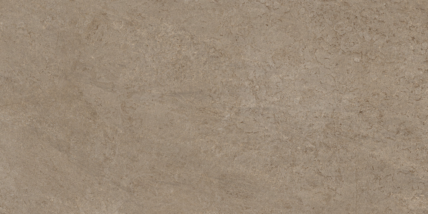 60x120 CANYON BURLY WOOD (DURAGRIPO ANTI-SLIP)