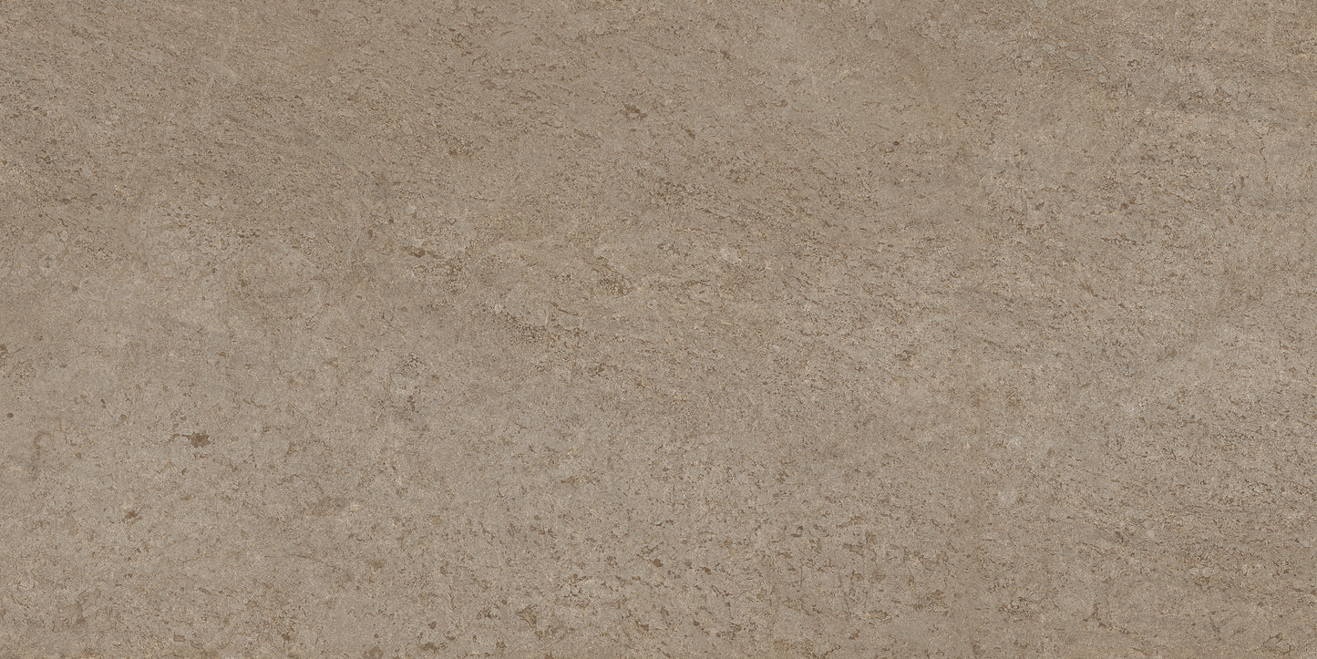 60x120 CANYON BURLY WOOD (DURAGRIPO ANTI-SLIP)