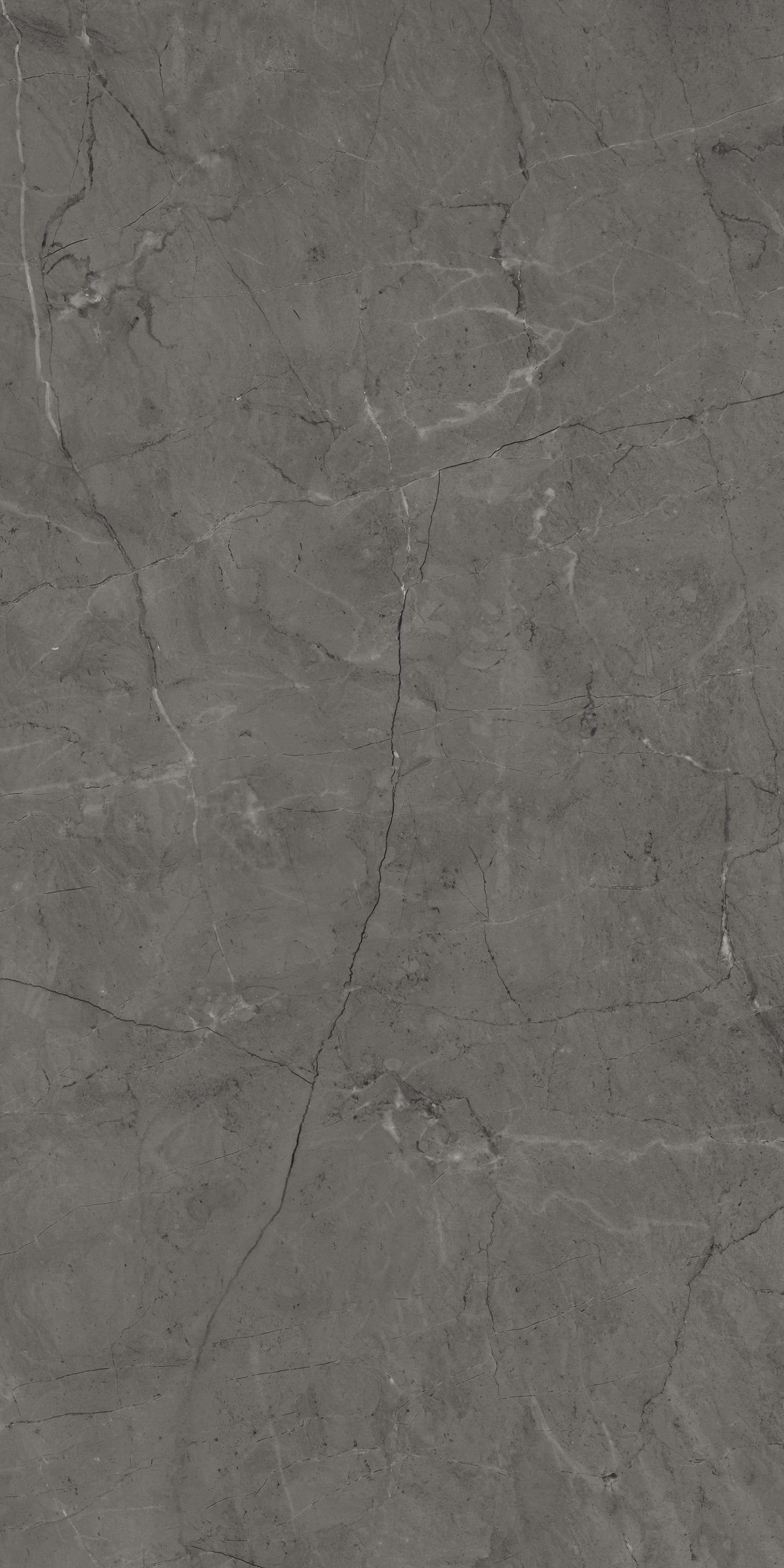 Pilkos spalvos, akmens masės poliruotos plytelės su blizgiu paviršiumi, raštuotos.