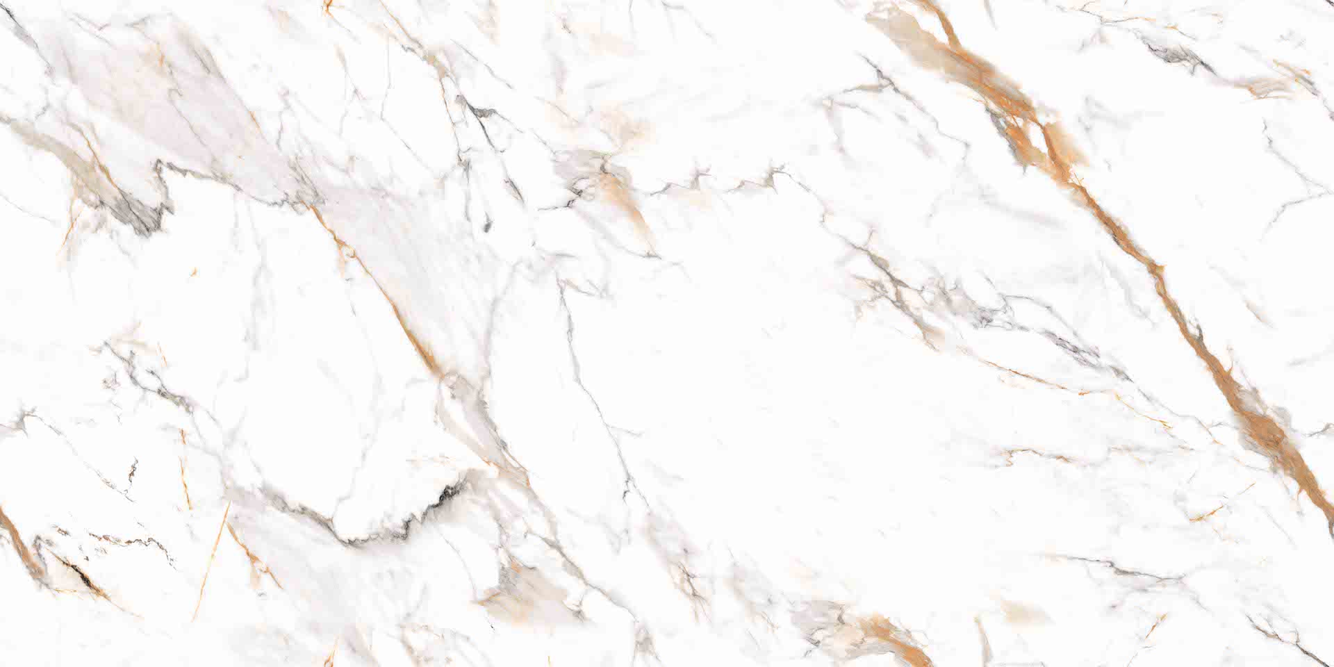 Matinės ir poliruotos baltos plytelės su dekoratyviais pilkais ir auksiniais elementais.