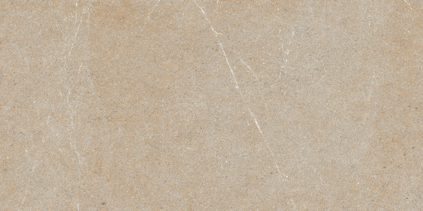 60x120 DOROTHY BROWN (MATT)