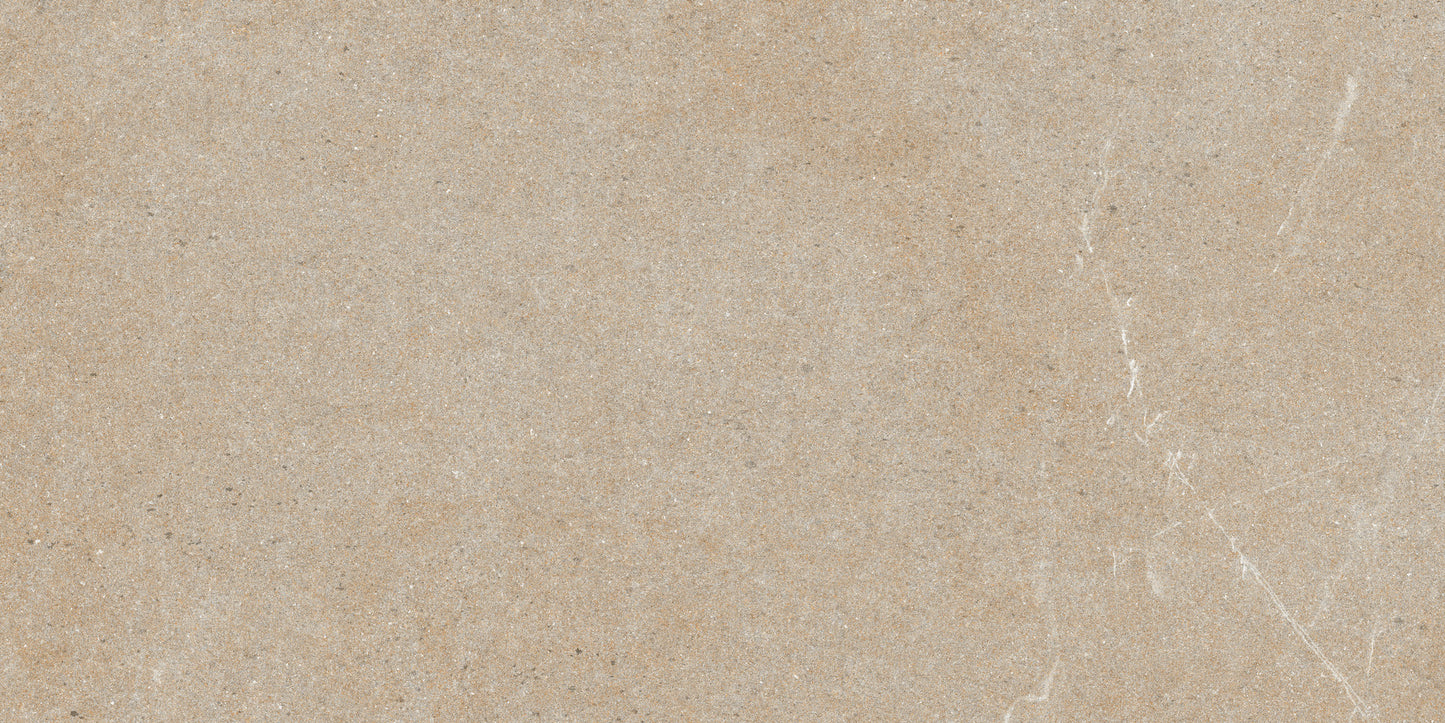 60x120 DOROTHY BROWN (MATT)