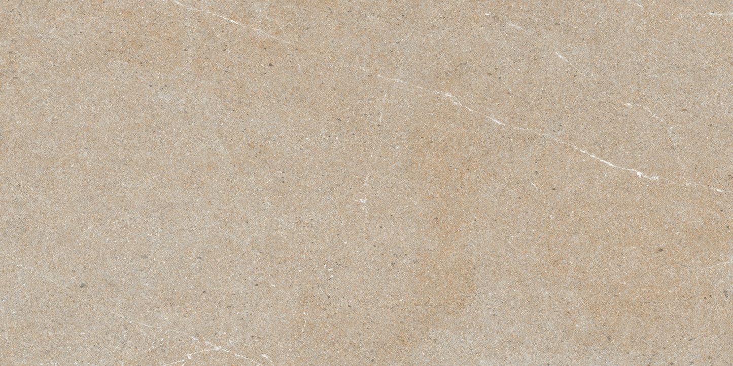 60x120 DOROTHY BROWN (MATT)