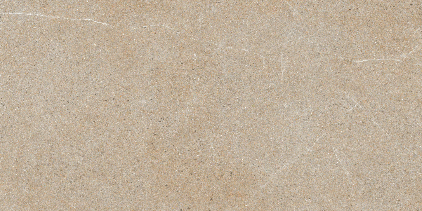 60x120 DOROTHY BROWN (MATT)