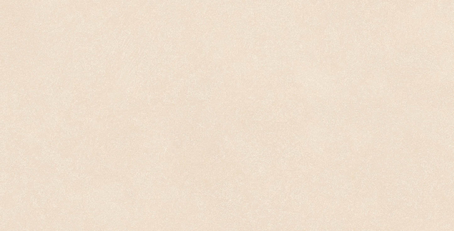 60x120 GESSI NATURAL (DOUBLE DIGITAL)