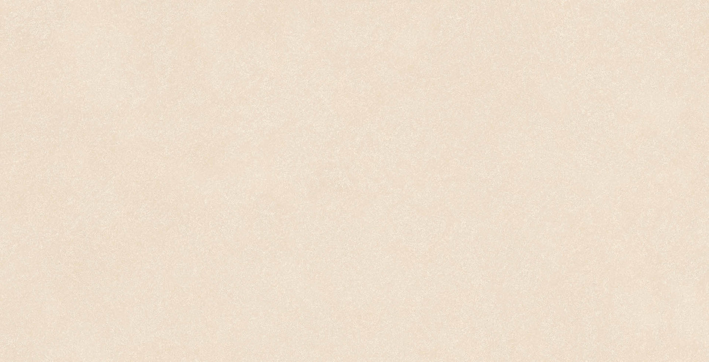 60x120 GESSI NATURAL (DOUBLE DIGITAL)