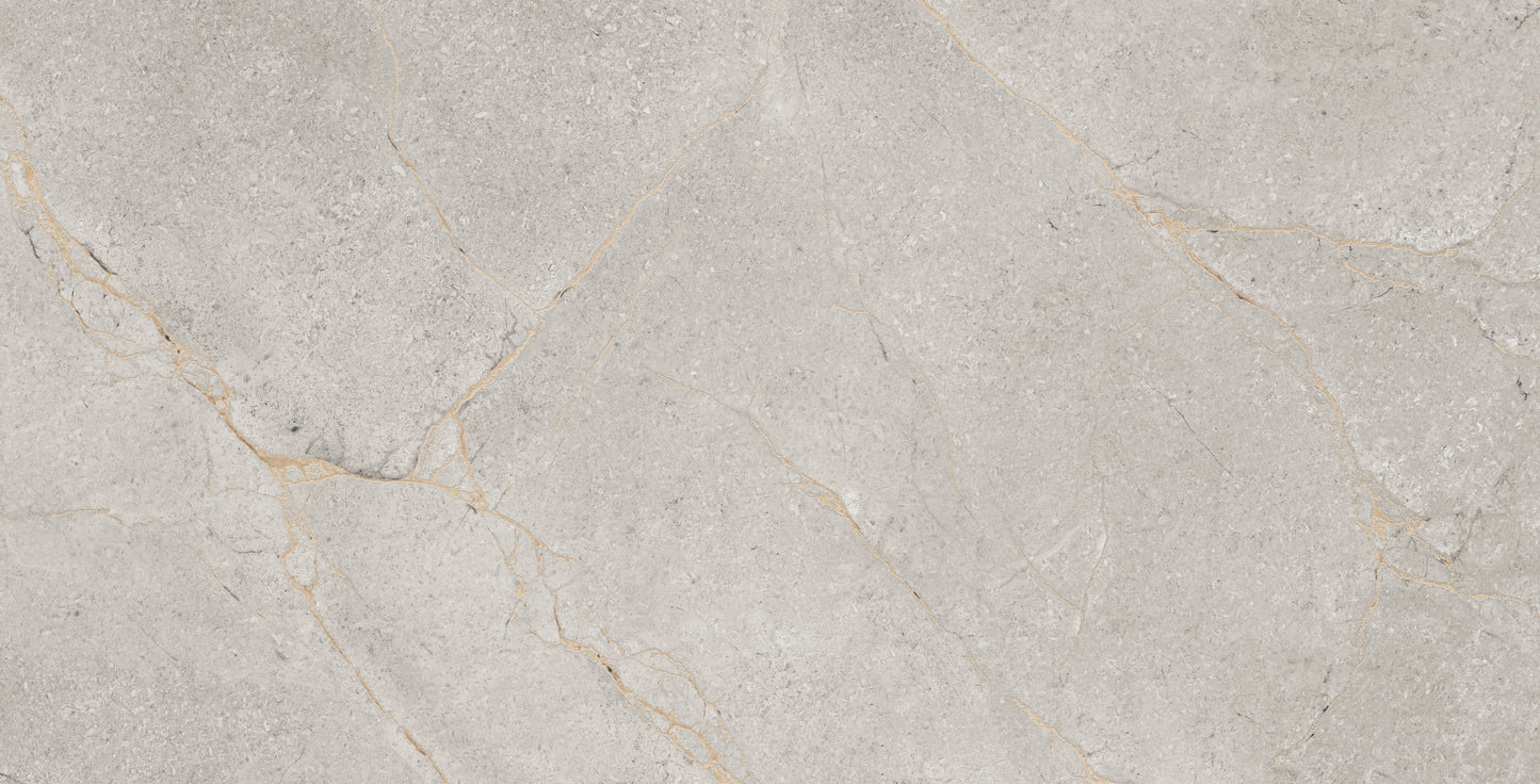 60x120 SPARKLE LOVATO GREY (CARVING)