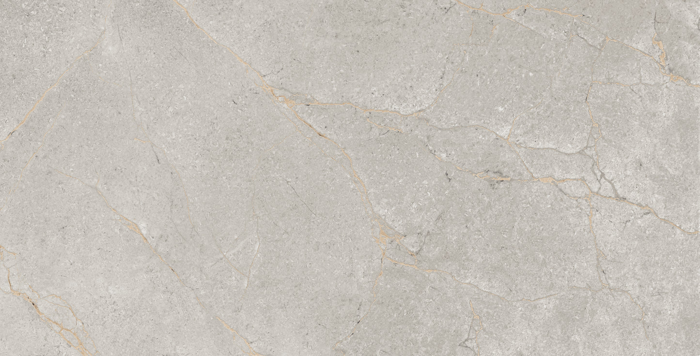 60x120 SPARKLE LOVATO GREY (CARVING)