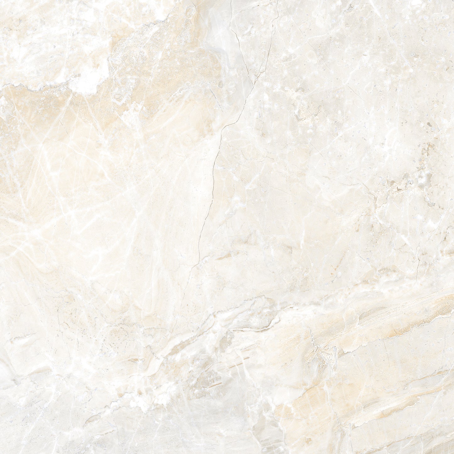 Grindų plytelės baltos perlo spalvos su subtiliomis aukso detalėmis, matinės ir patvarios.