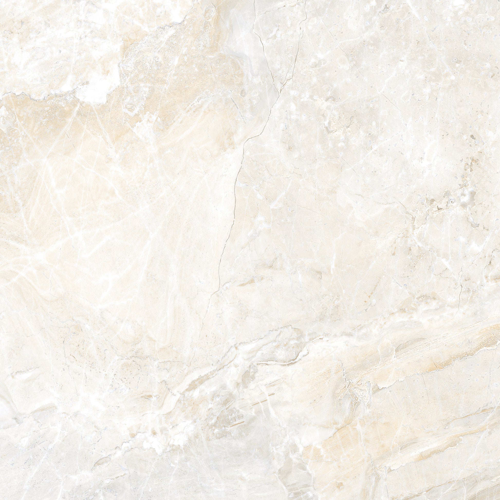 Grindų plytelės baltos perlo spalvos su subtiliomis aukso detalėmis, matinės ir patvarios.