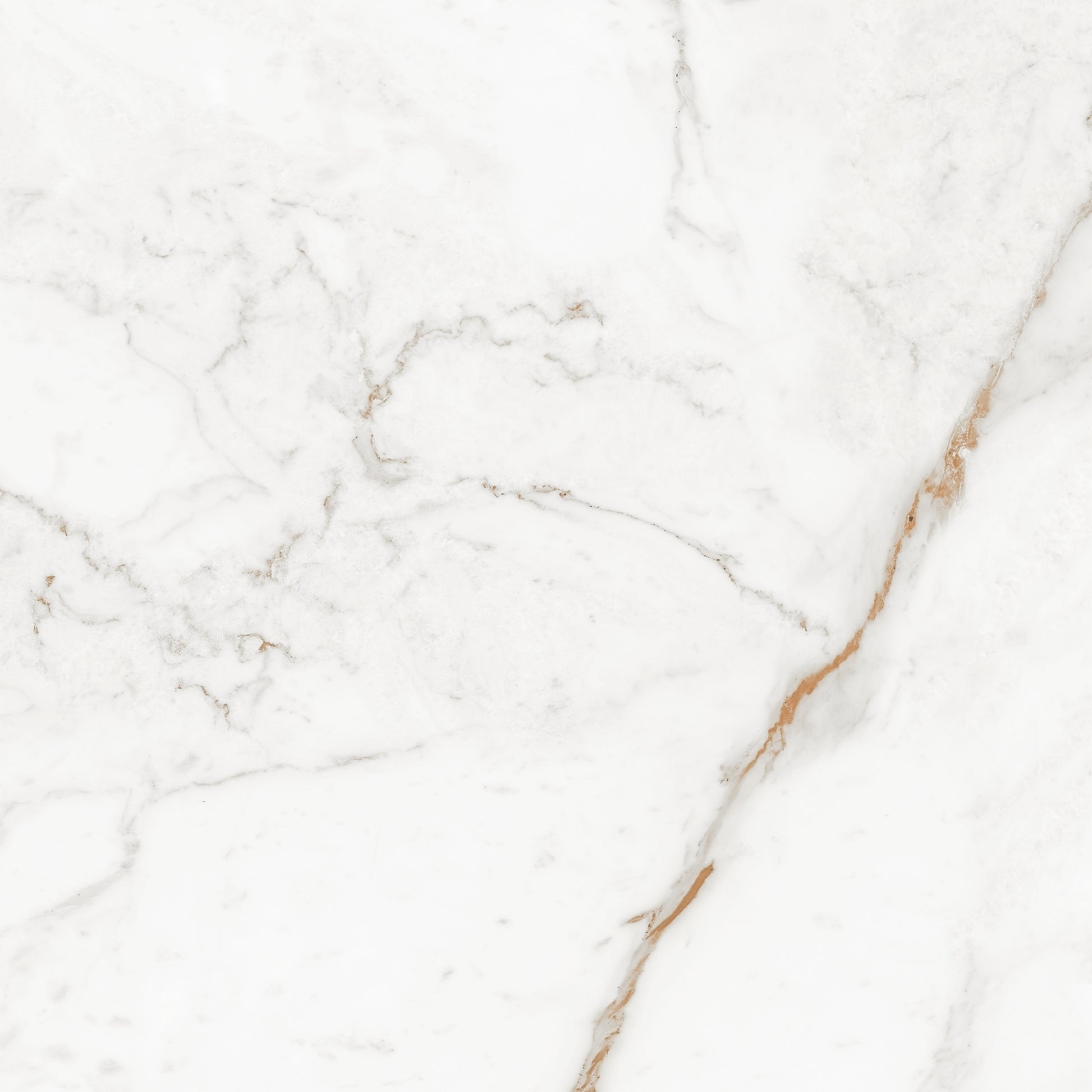 Akmens masės plytelės su blizgiu Carving raštu balta su pilkais elementais