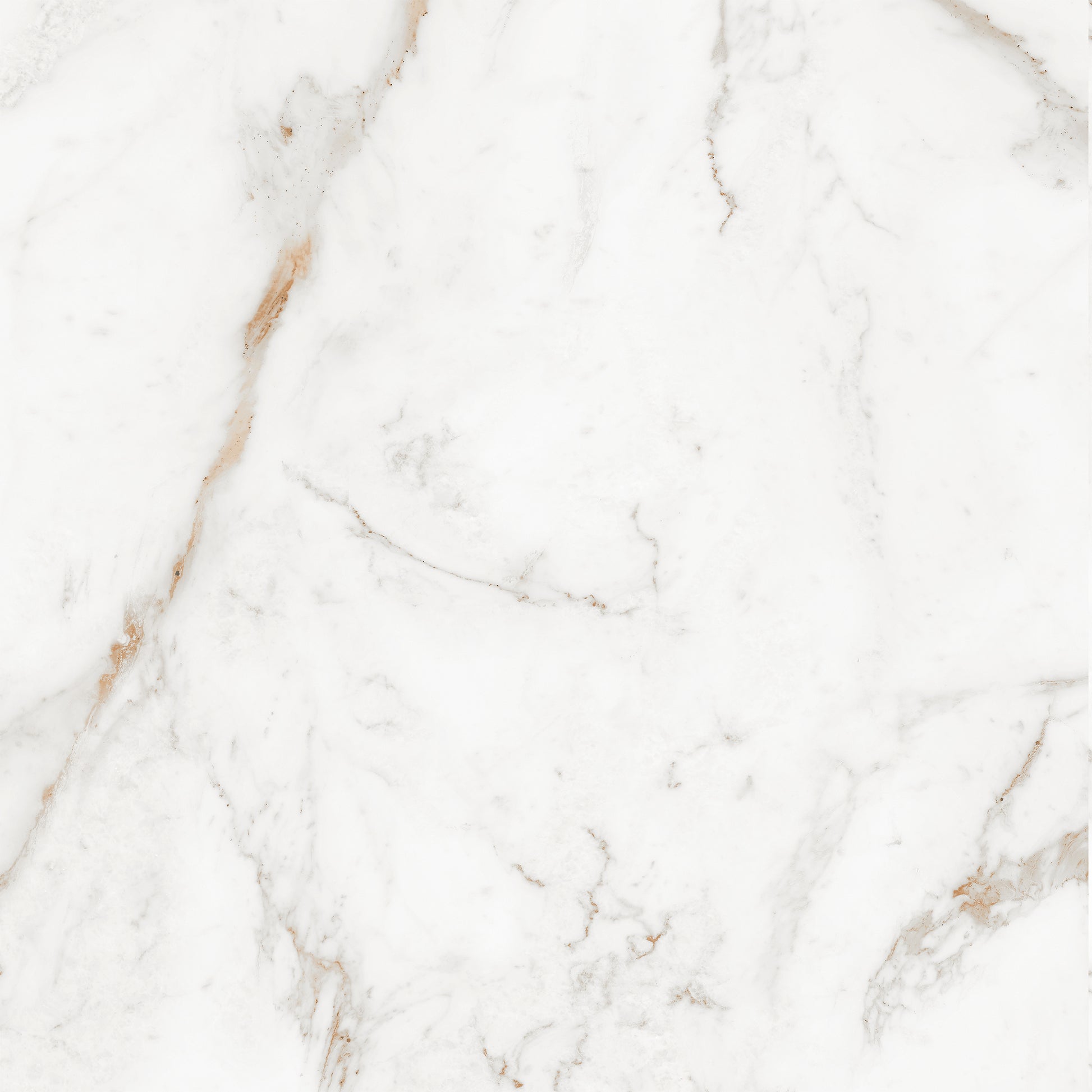 Plytelės vidaus ir lauko naudojimui balta su pilkais Carving raštais