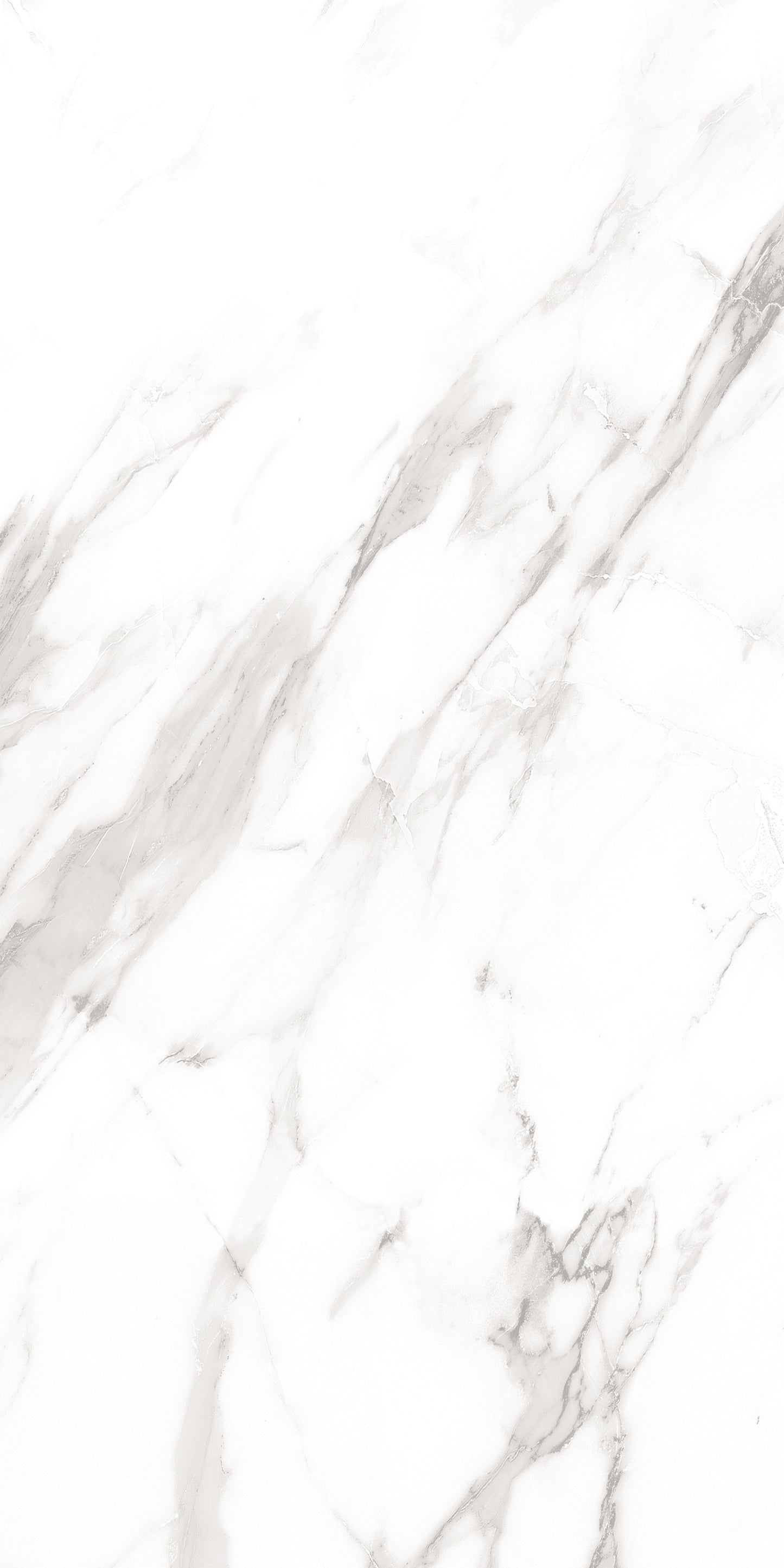 60x120 ROYAL WHITE (POLISHED)