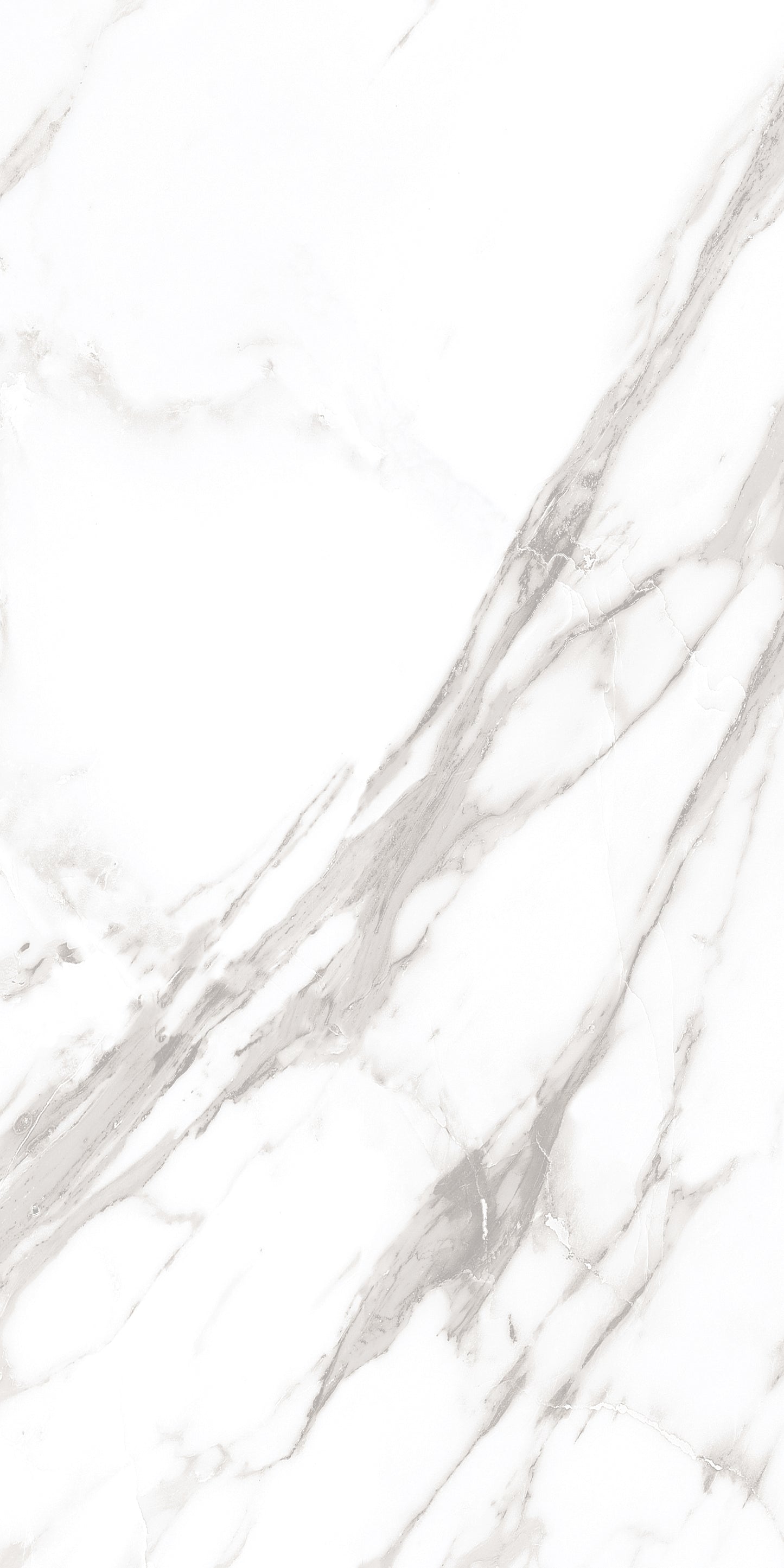 60x120 ROYAL WHITE (POLISHED)