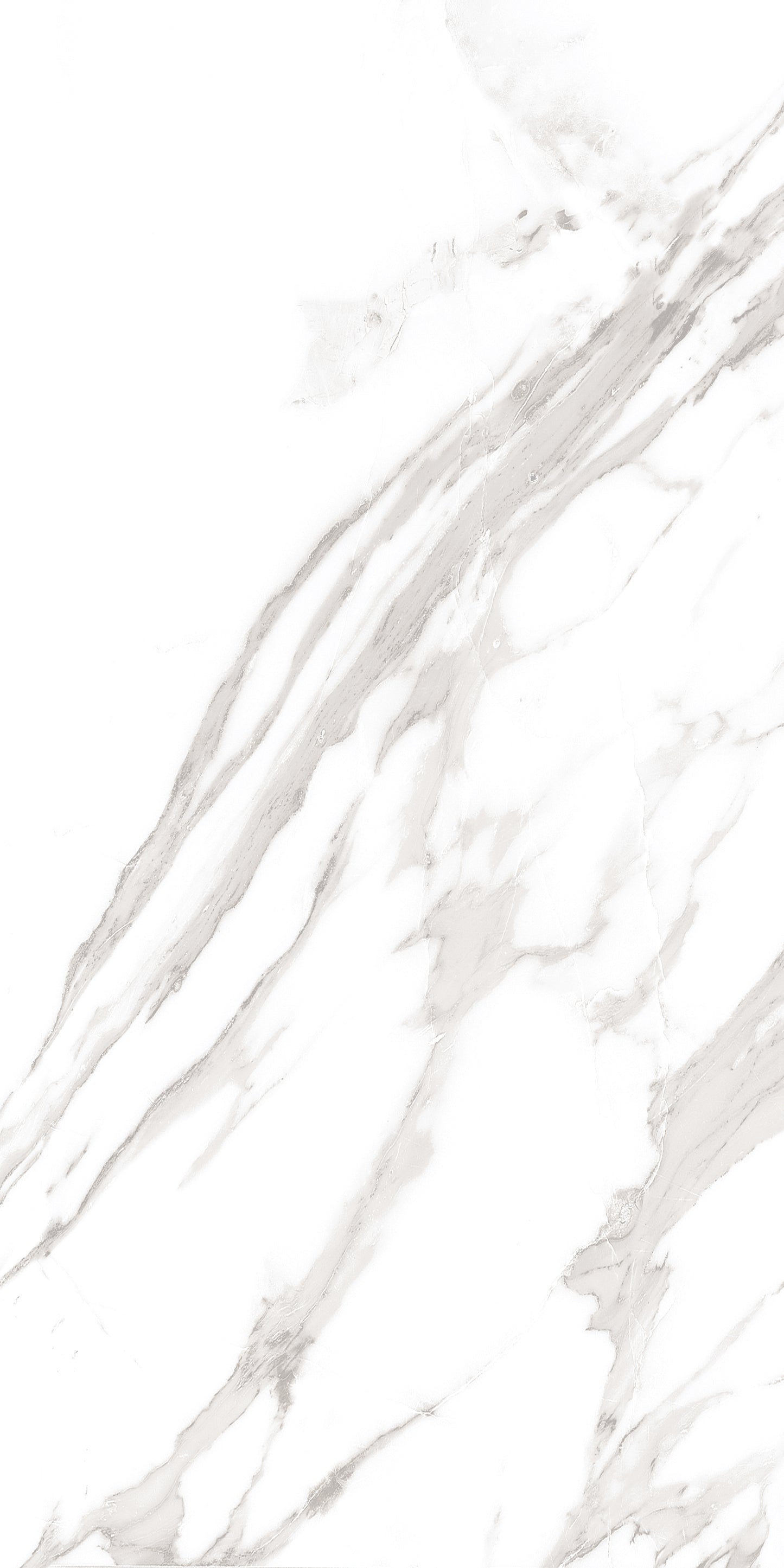 60x120 ROYAL WHITE (POLISHED)