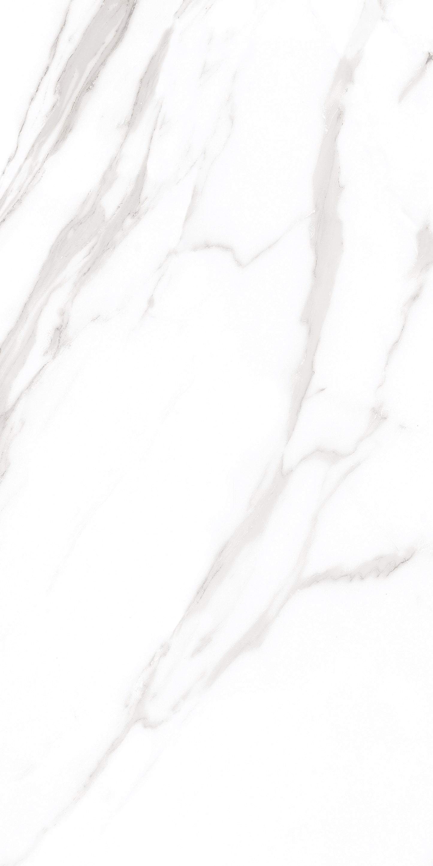 60x120 ROYAL WHITE (POLISHED)