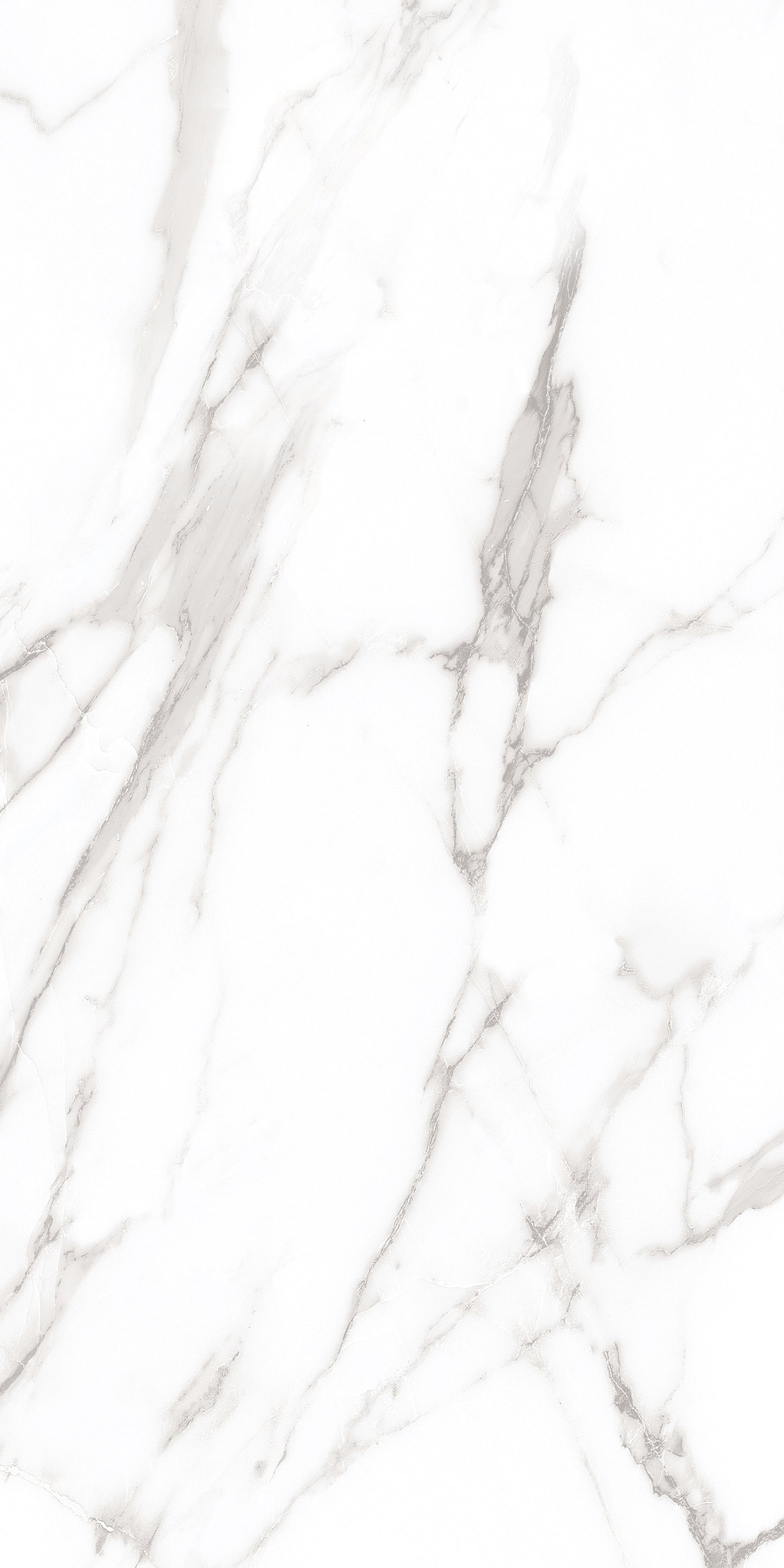 60x120 ROYAL WHITE (POLISHED)