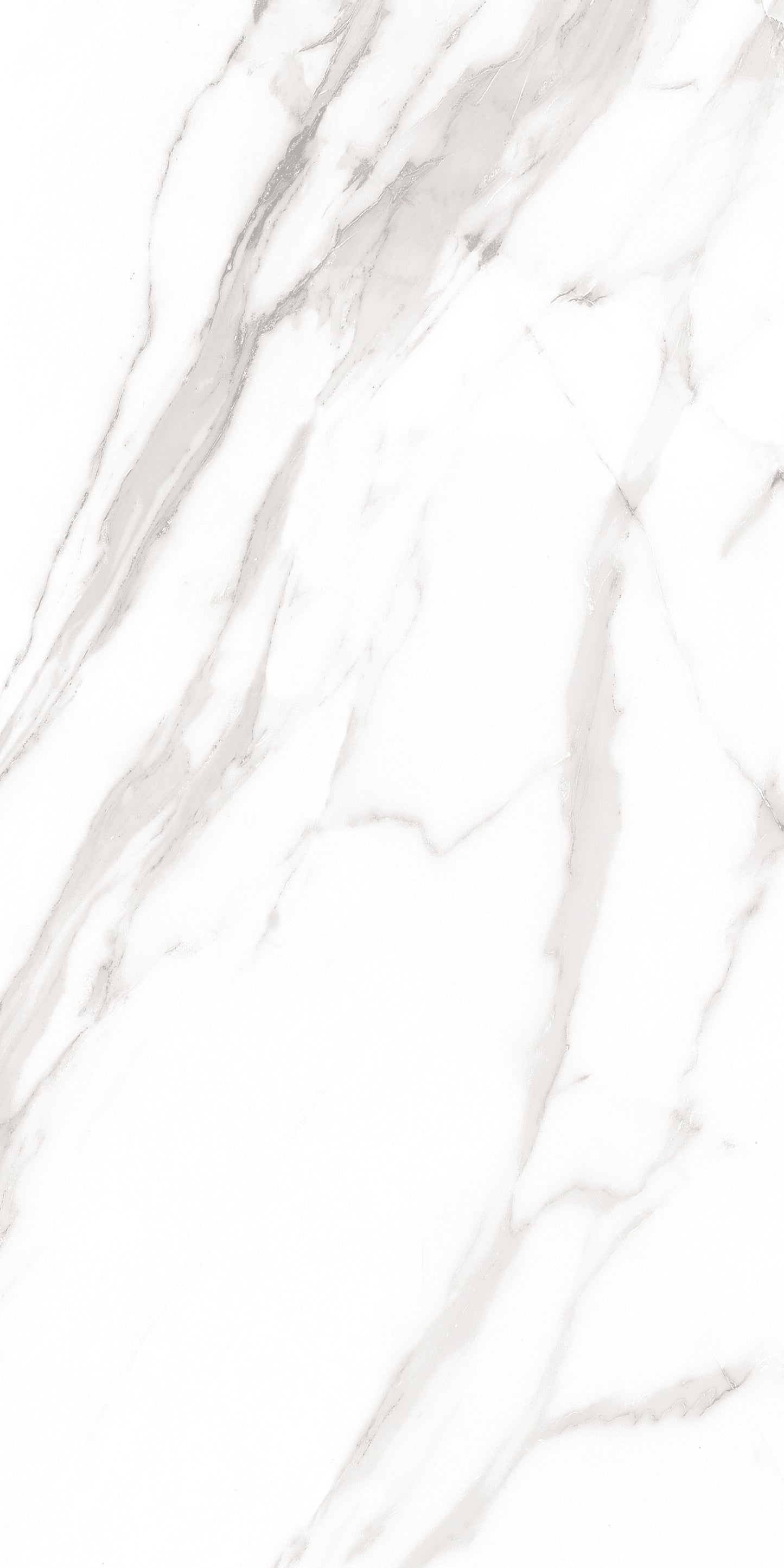 60x120 ROYAL WHITE (POLISHED)