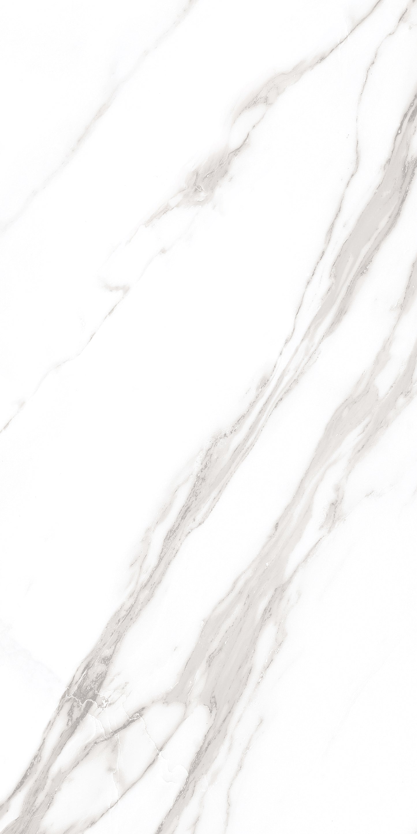 60x120 ROYAL WHITE (POLISHED)