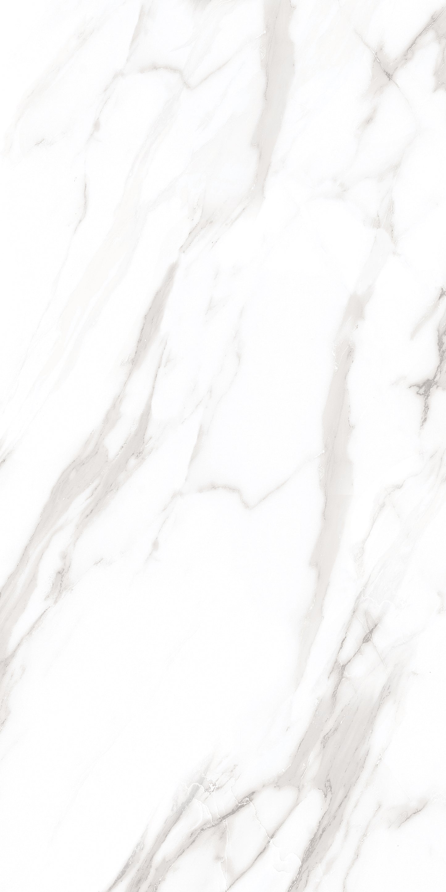 60x120 ROYAL WHITE (POLISHED)