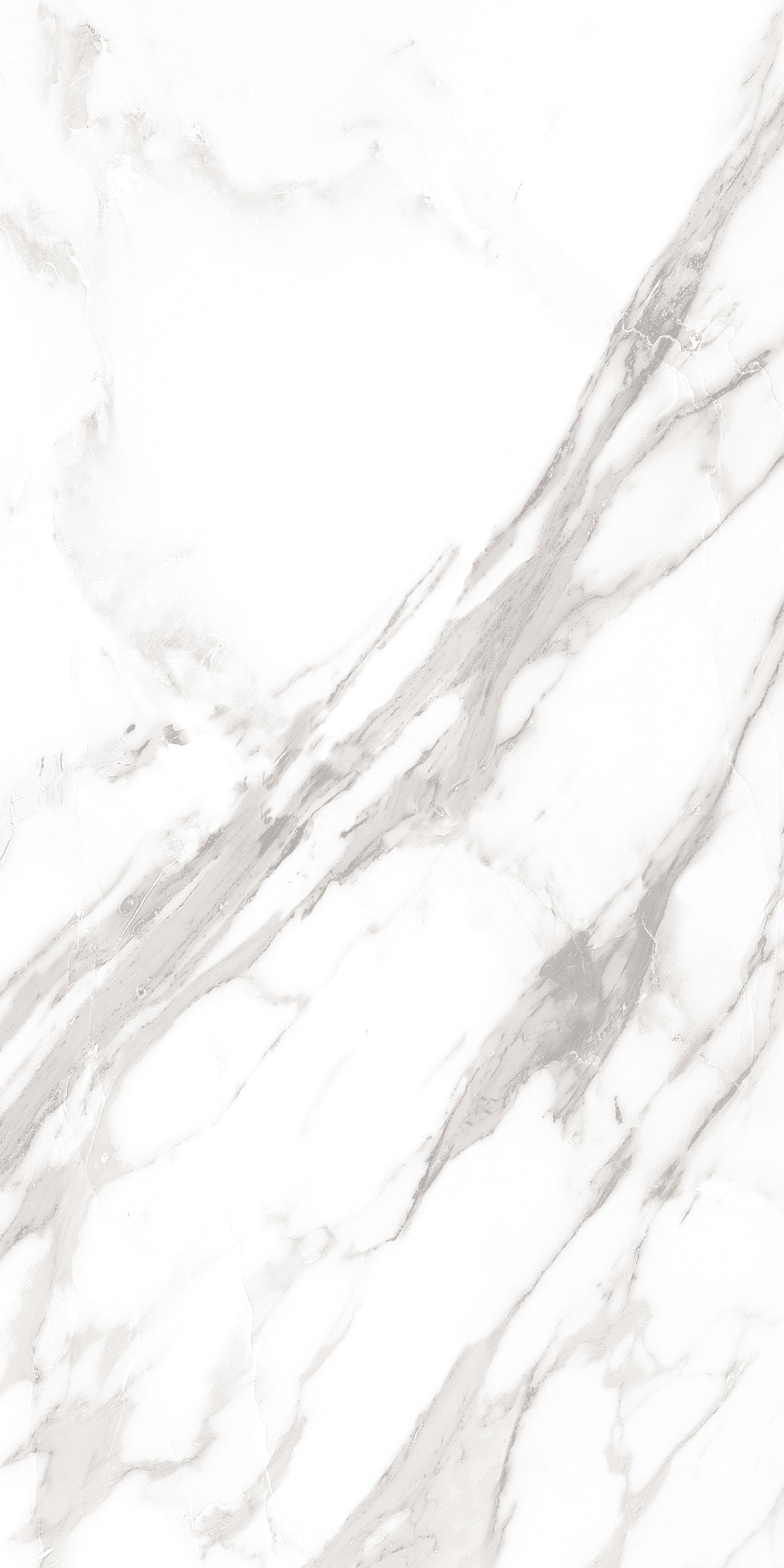 60x120 ROYAL WHITE (POLISHED)