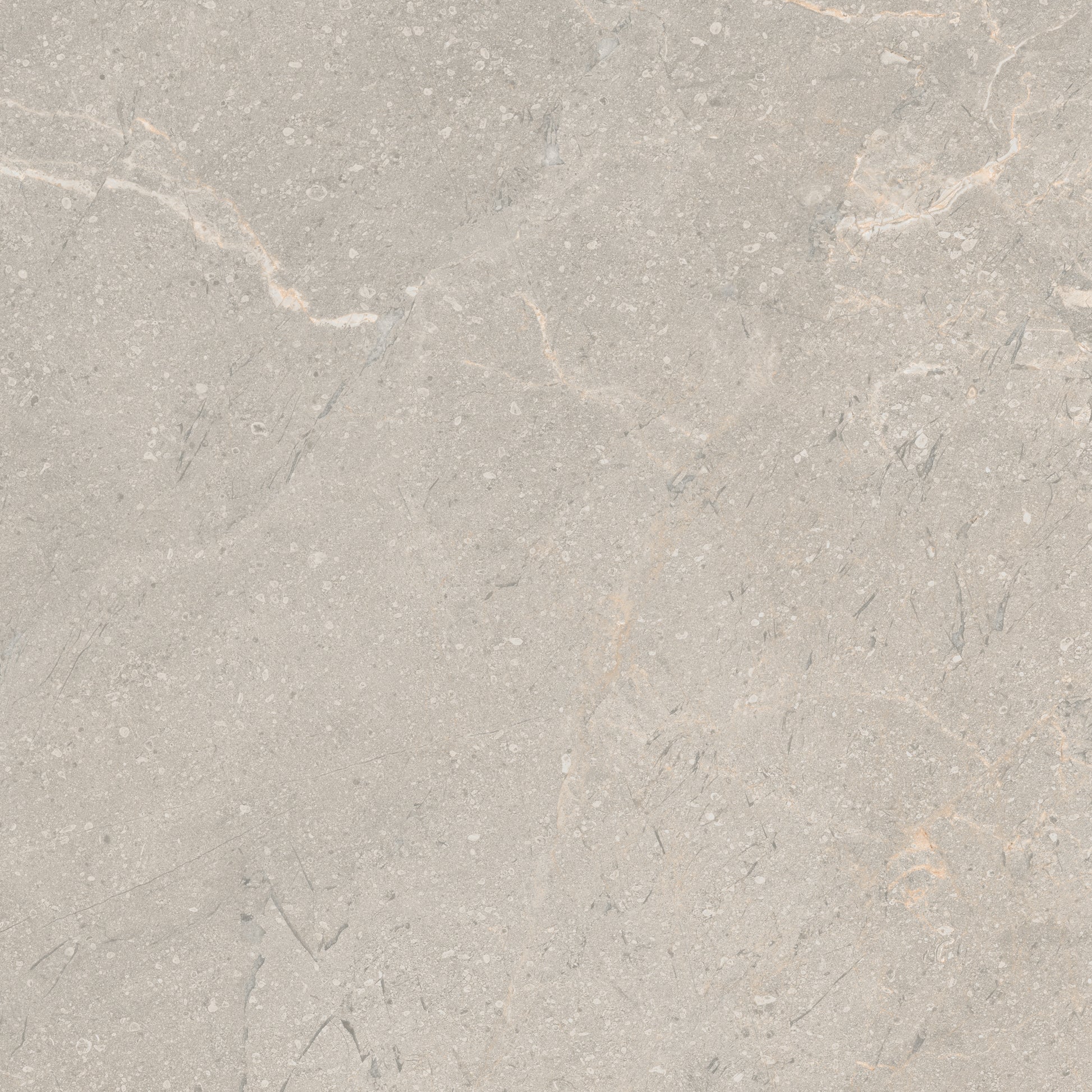 Matinės akmens masės plytelės, pilkos spalvos su neslidžiu paviršiumi ir dekoratyviniais raštais.