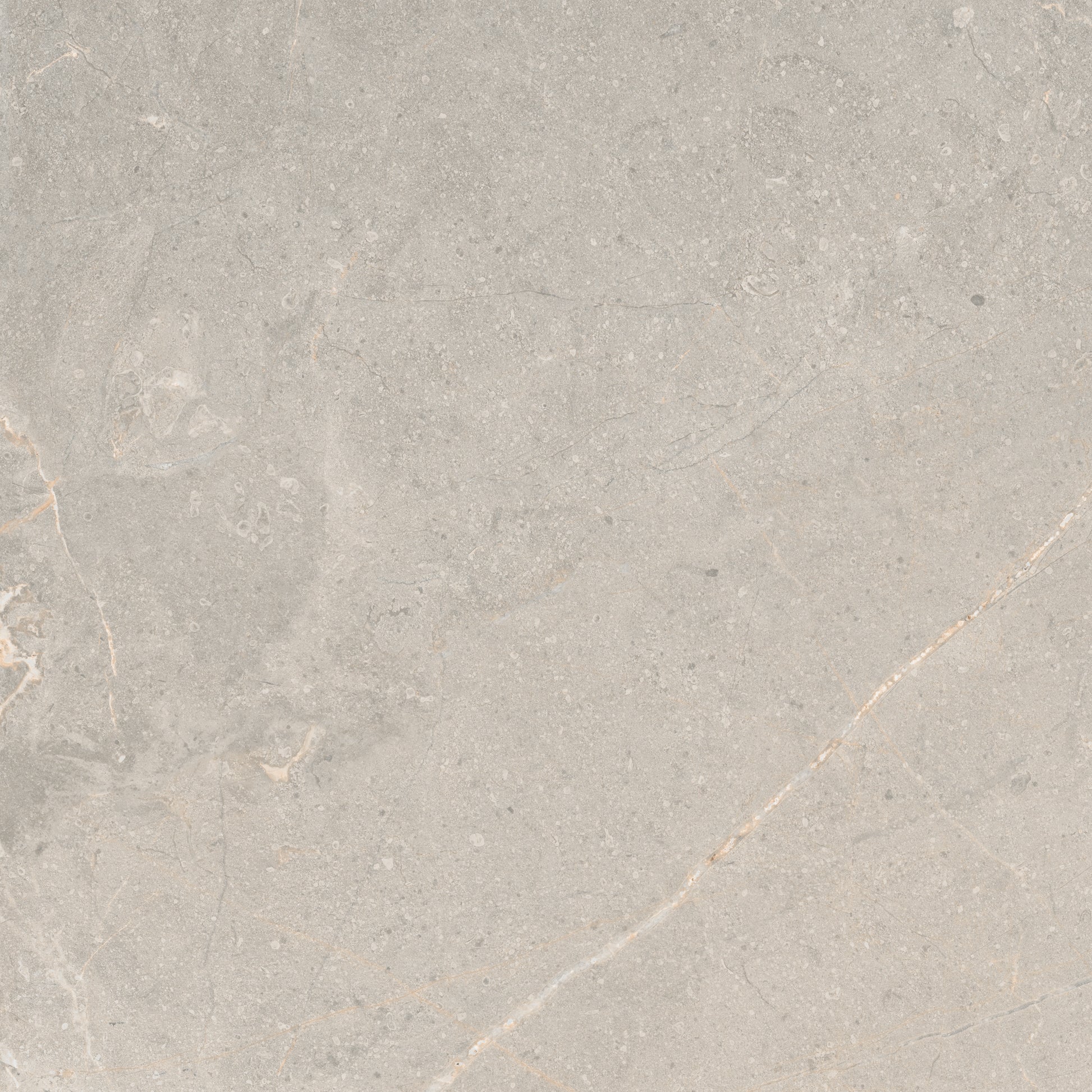 Matinės pilkos plytelės su dekoratyviniais raštais, tinkamos vidaus ir lauko zonoms.