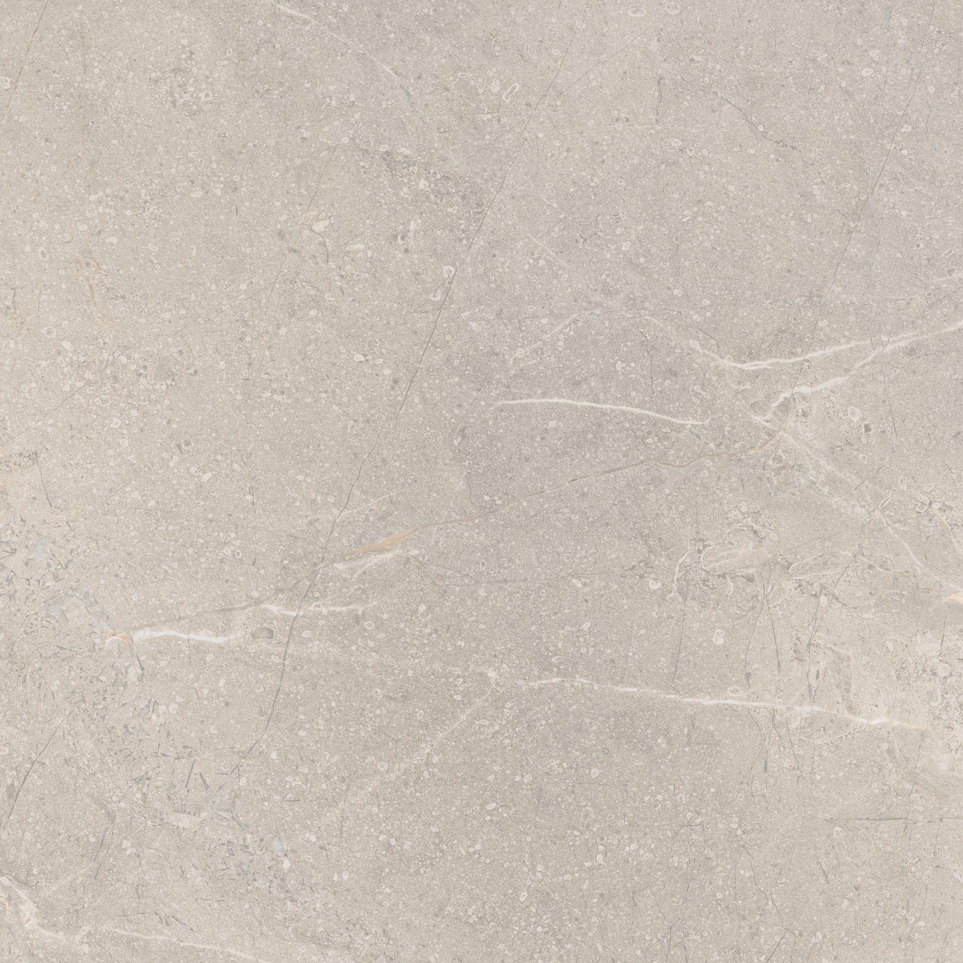 Akmens masės plytelės pilkos spalvos su matinio paviršiaus raštais.