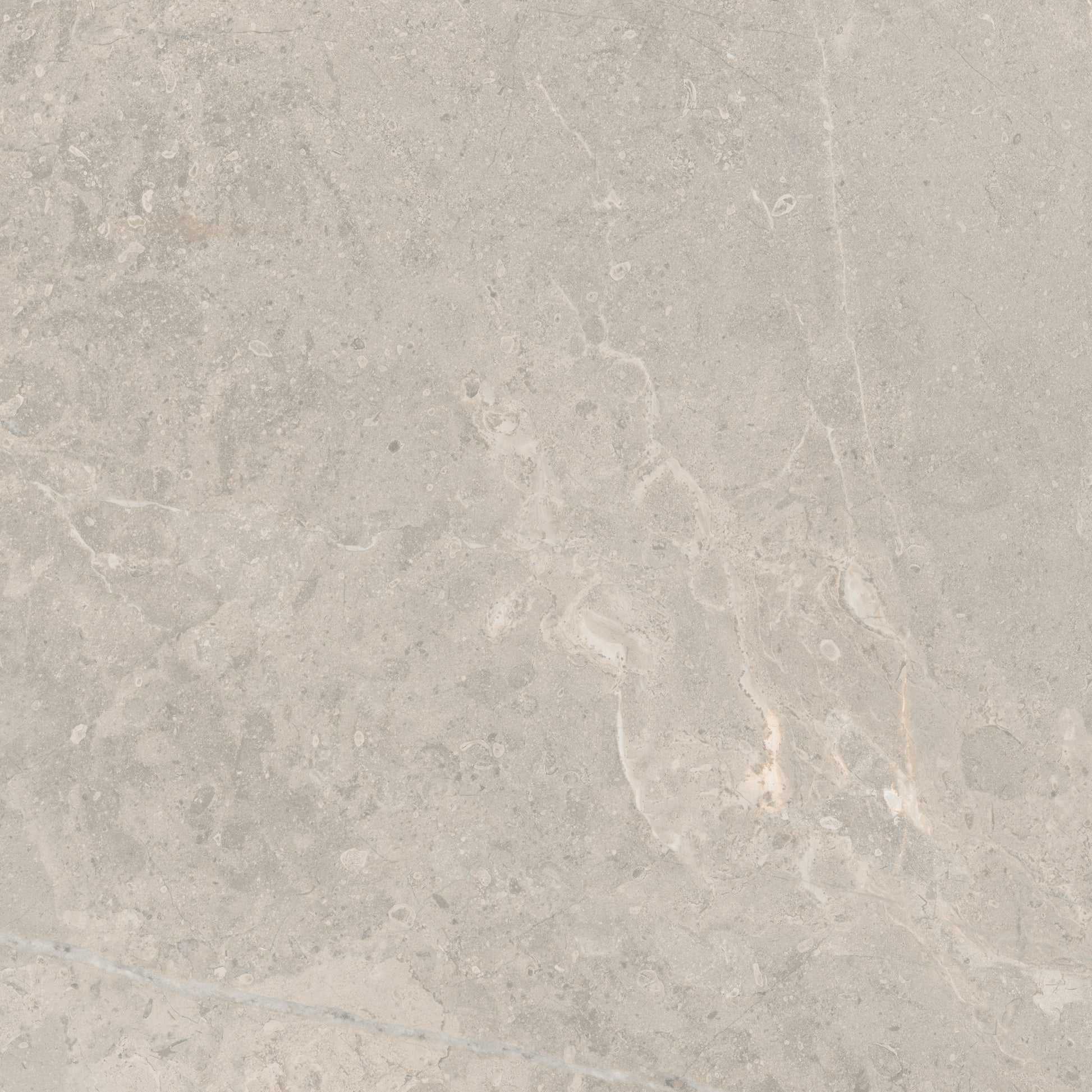 Patvarios matinės pilkos plytelės su dekoratyviniais raštais grindims.