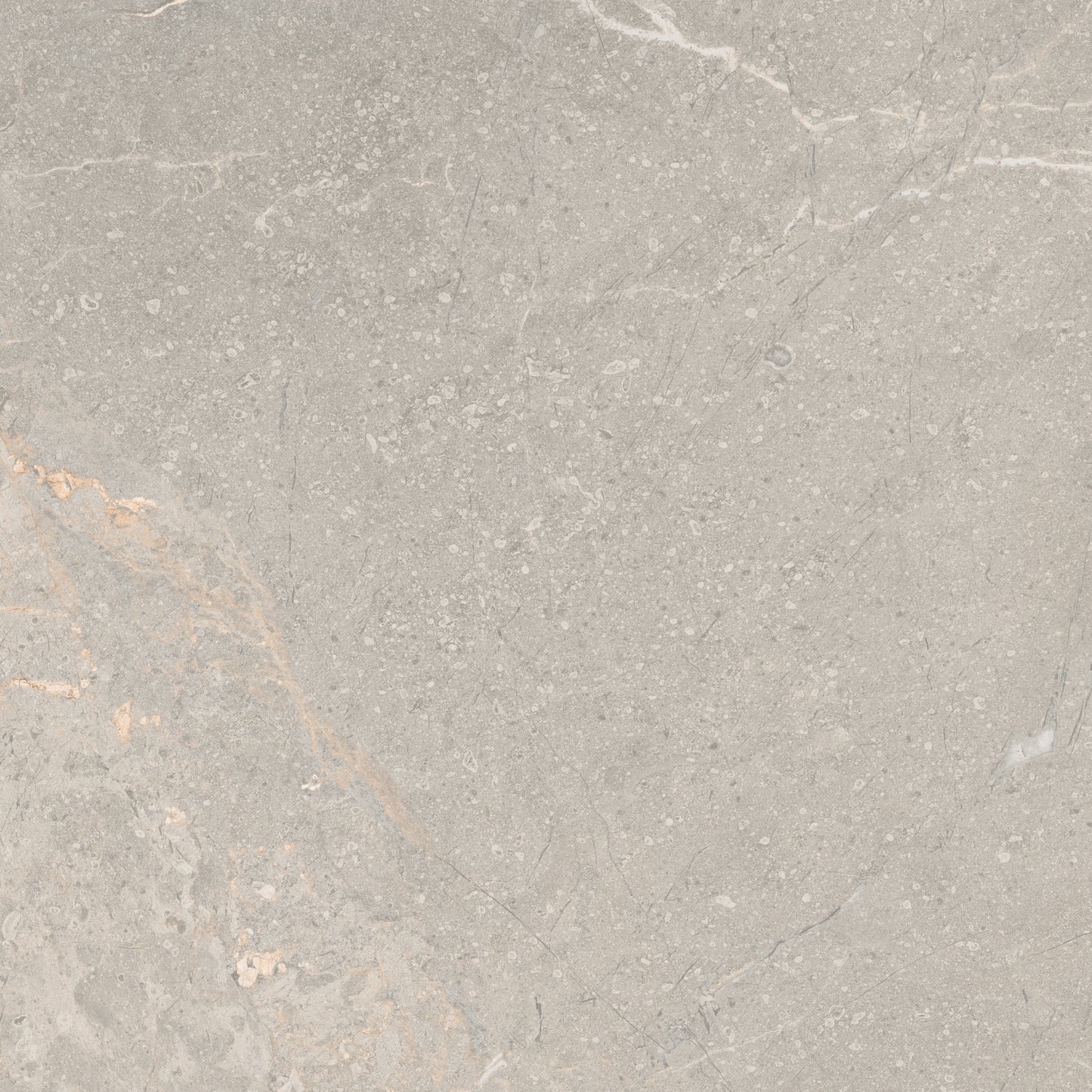 60x60 SISMIC GREY (MATT)