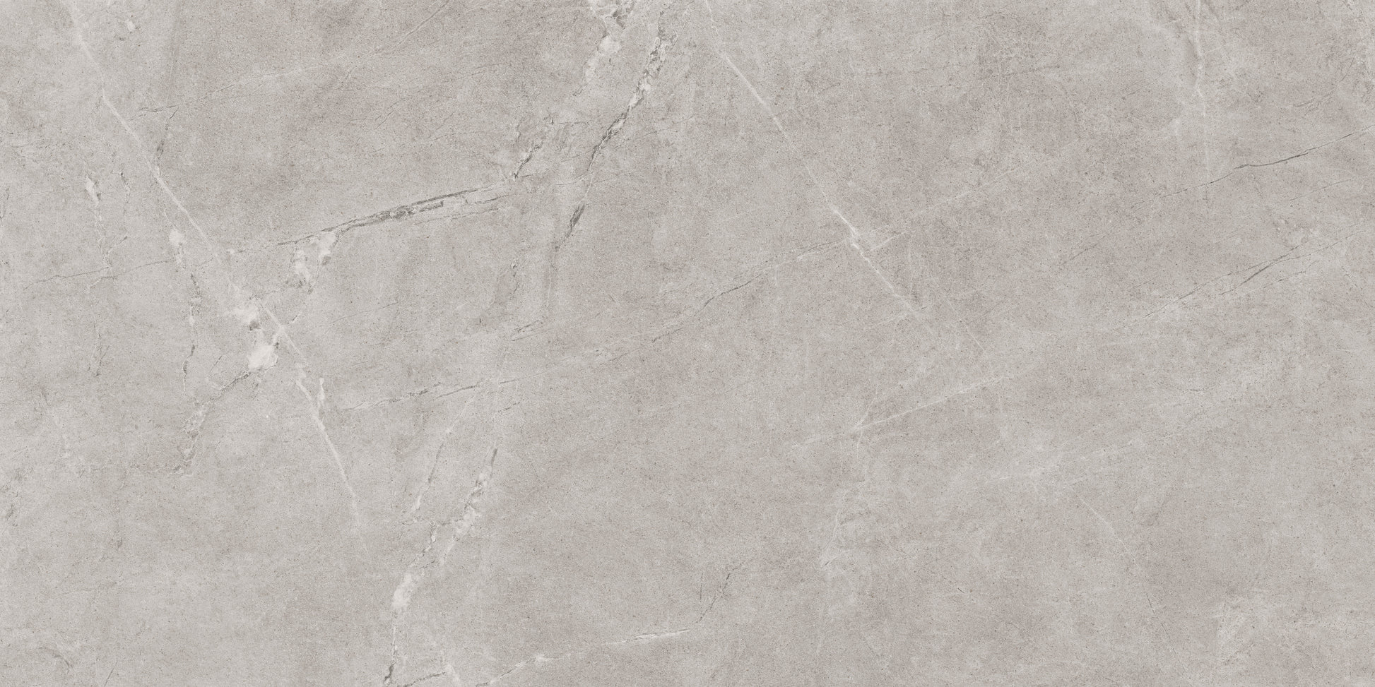 Pilkos spalvos plytelės grindims ir sienoms.