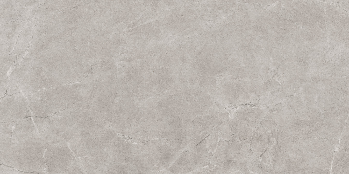 Pilkos spalvos plytelės grindims ir sienoms.