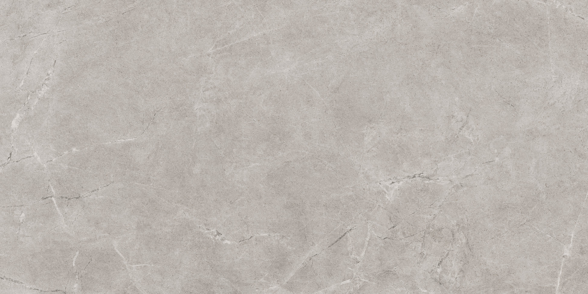 Pilkos spalvos plytelės grindims ir sienoms.