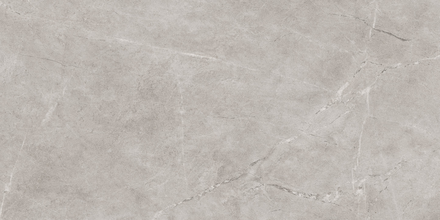 Pilkos spalvos plytelės grindims ir sienoms.