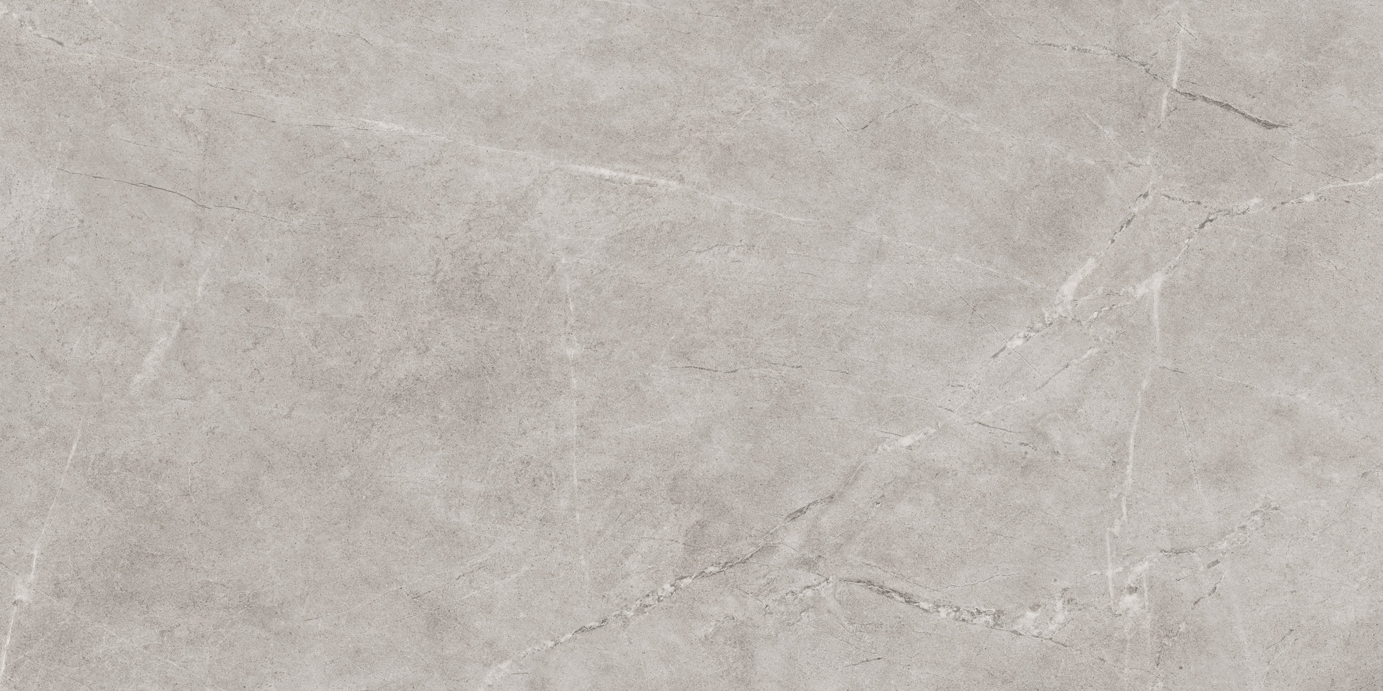 Pilkos spalvos plytelės grindims ir sienoms.